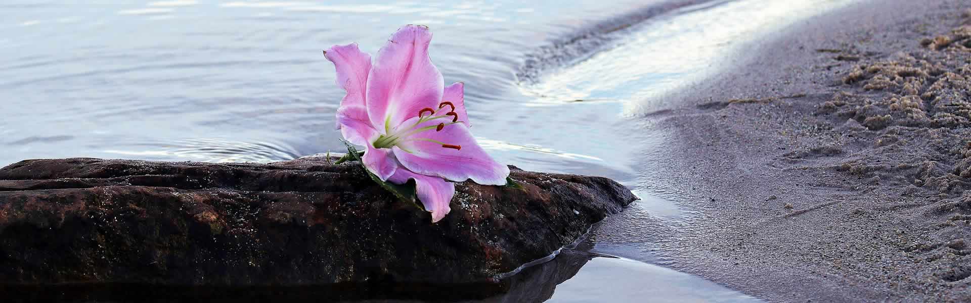 Fiore per decorazione lapidi e cimitero